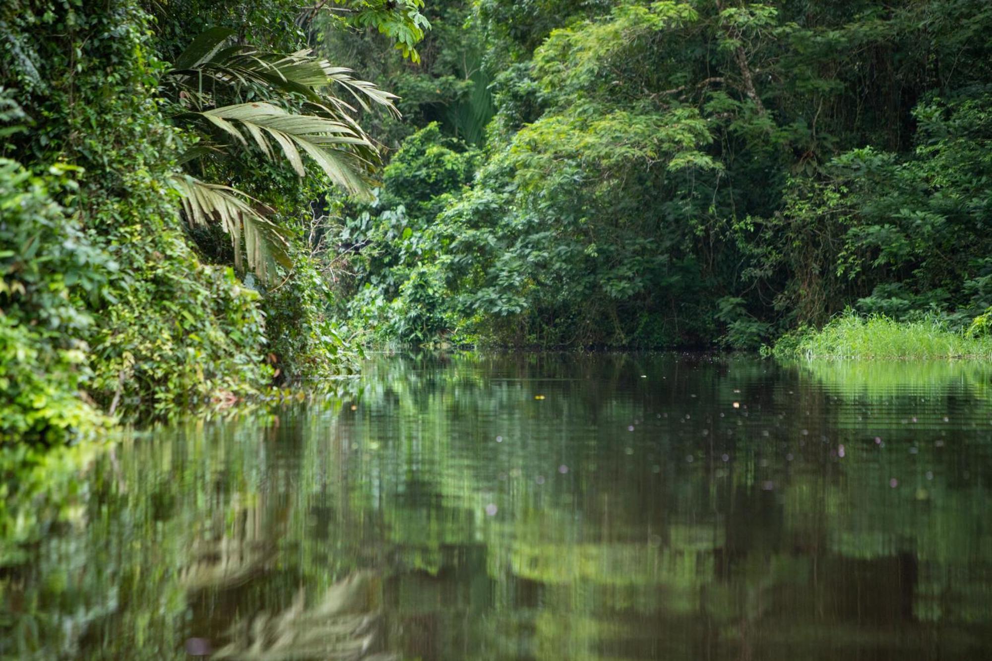Pachira Lodge Тортугеро Экстерьер фото