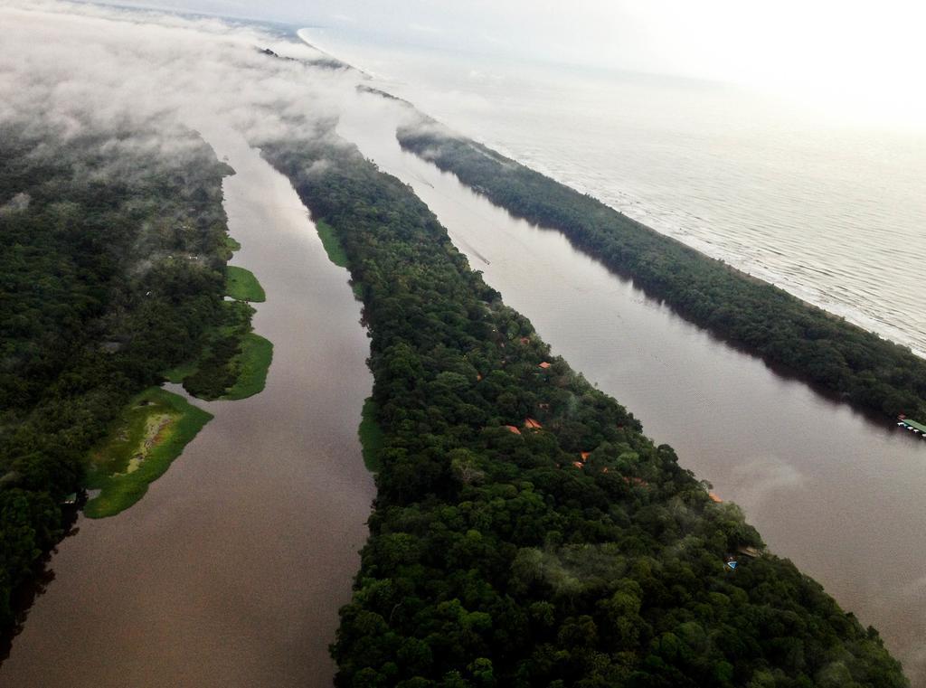 Pachira Lodge Тортугеро Экстерьер фото