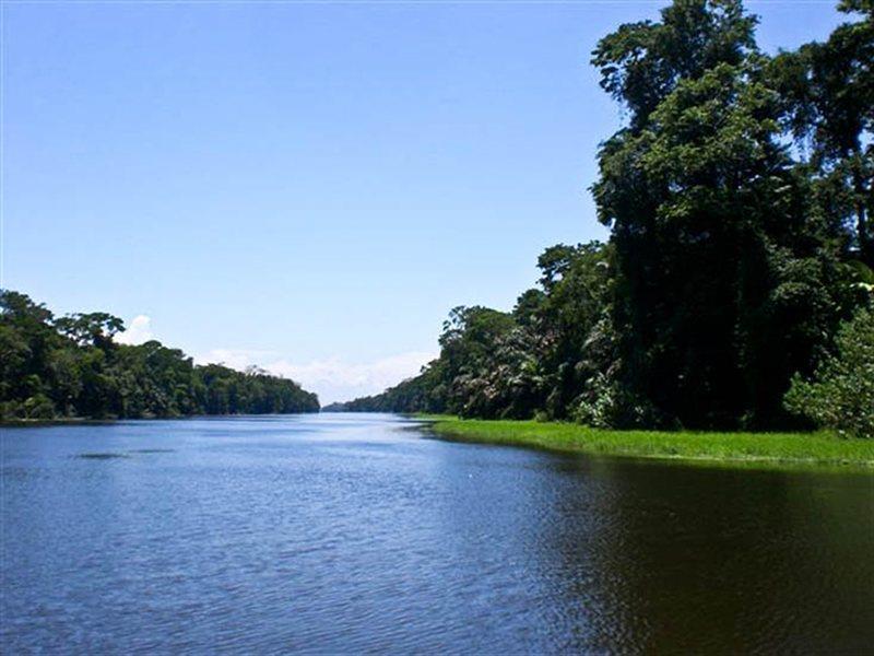 Pachira Lodge Тортугеро Экстерьер фото