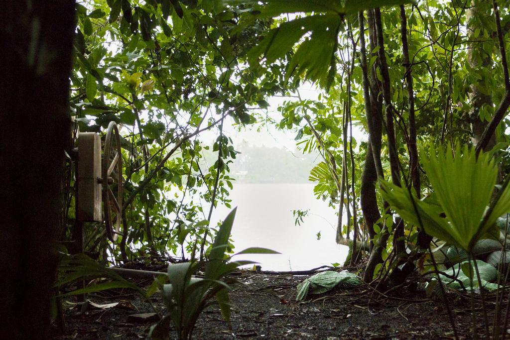Pachira Lodge Тортугеро Экстерьер фото