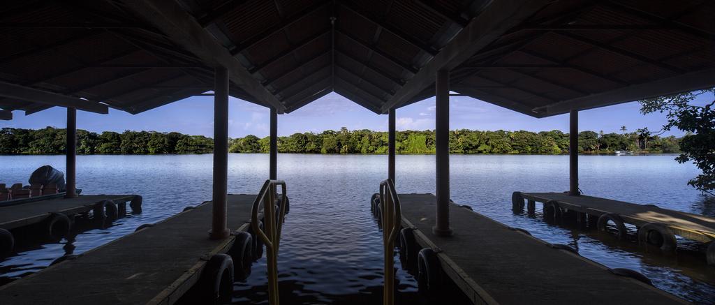 Pachira Lodge Тортугеро Экстерьер фото