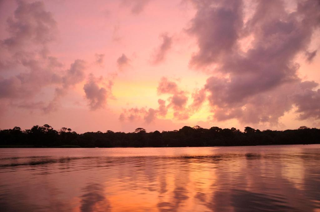 Pachira Lodge Тортугеро Экстерьер фото