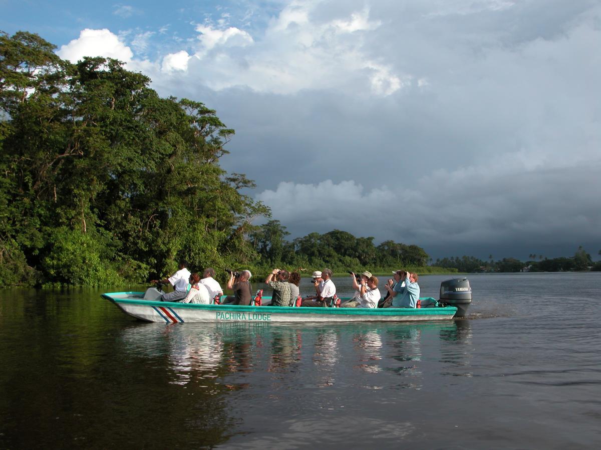 Pachira Lodge Тортугеро Экстерьер фото