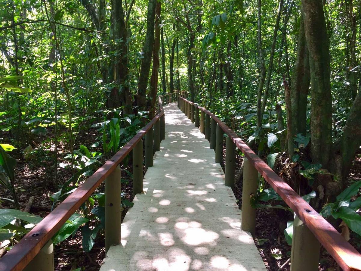 Pachira Lodge Тортугеро Экстерьер фото