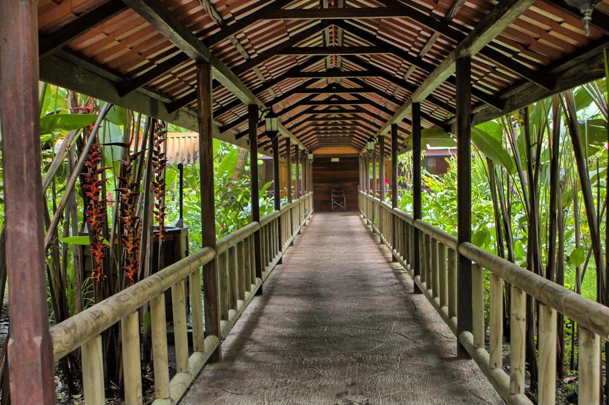 Pachira Lodge Тортугеро Экстерьер фото